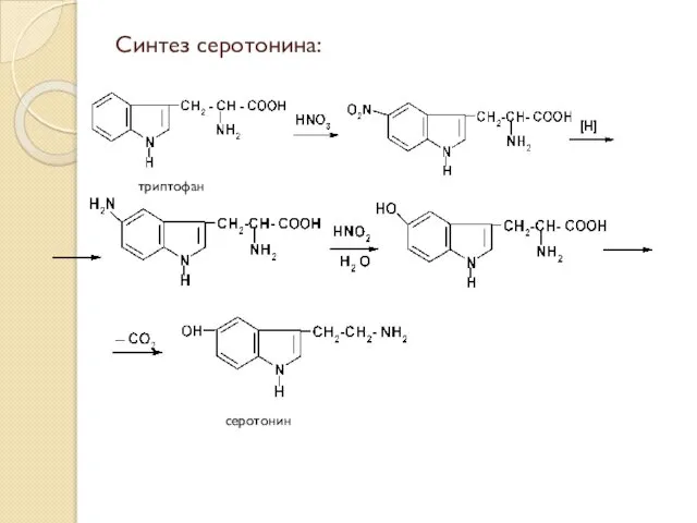 Синтез серотонина: триптофан серотонин