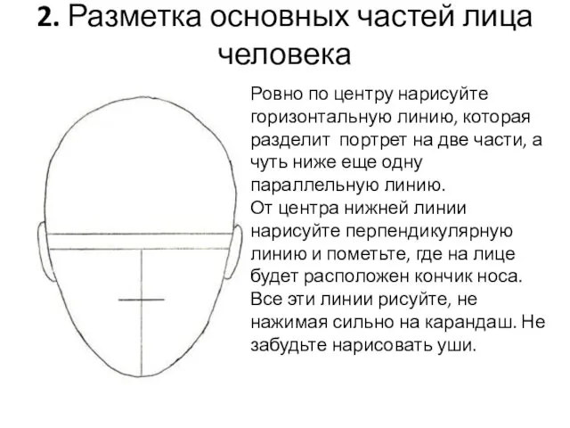 2. Разметка основных частей лица человека Ровно по центру нарисуйте горизонтальную