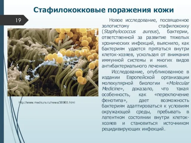 Стафилококковые поражения кожи Новое исследование, посвященное золотистому стафилококку (Staphylococcus aureus), бактерии,