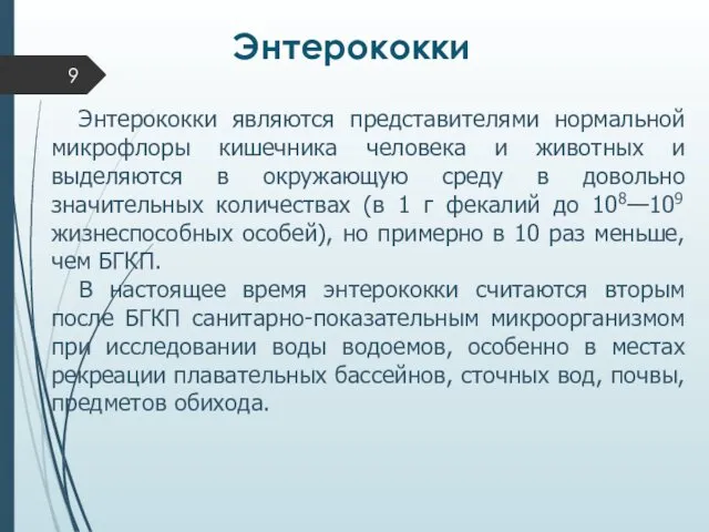 Энтерококки Энтерококки являются представителями нормальной микрофлоры кишечника человека и животных и