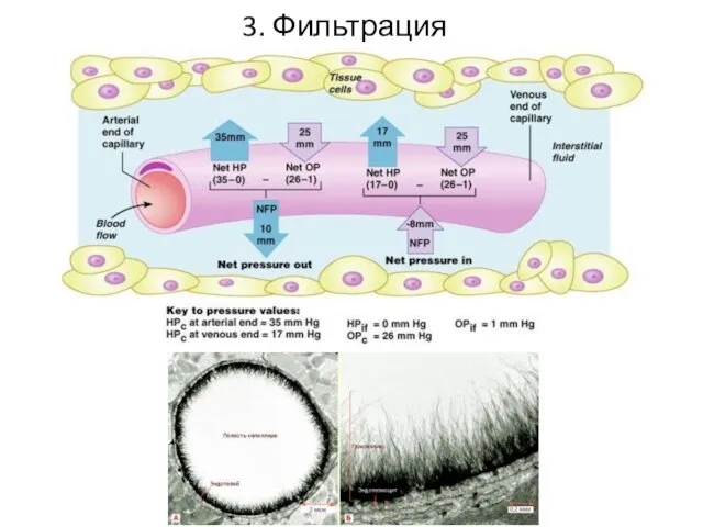 3. Фильтрация