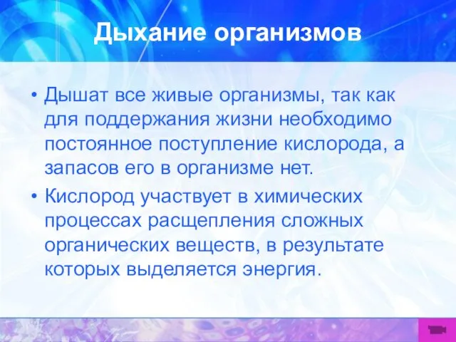 Дыхание организмов Дышат все живые организмы, так как для поддержания жизни