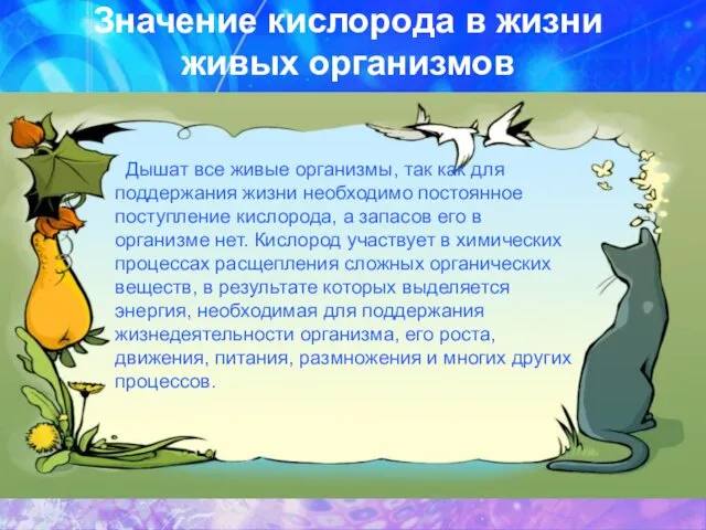 Значение кислорода в жизни живых организмов Дышат все живые организмы, так