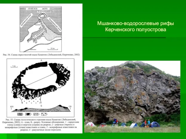 Мшанково-водорослевые рифы Керченского полуострова