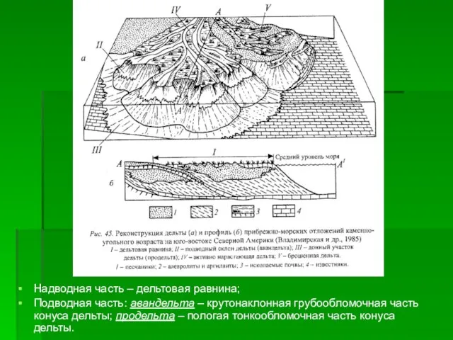 Надводная часть – дельтовая равнина; Подводная часть: авандельта – крутонаклонная грубообломочная