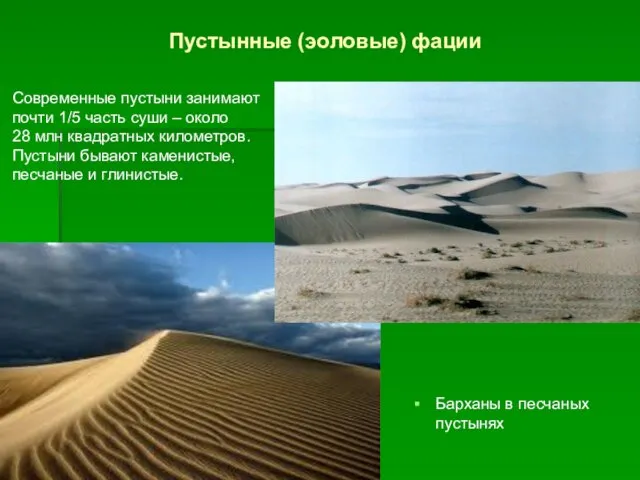 Пустынные (эоловые) фации Барханы в песчаных пустынях Современные пустыни занимают почти