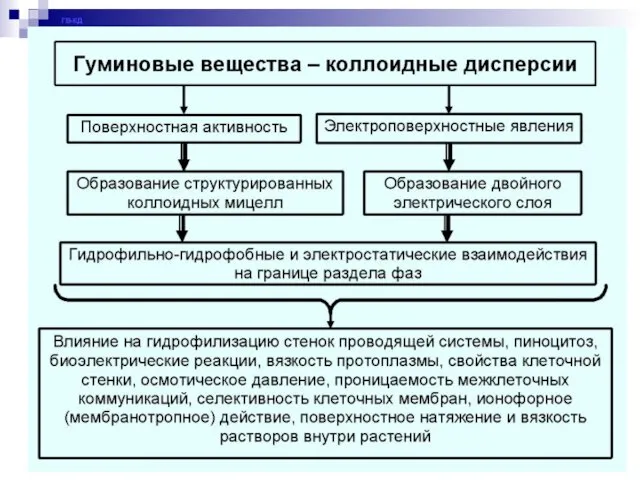 ГВ-КД