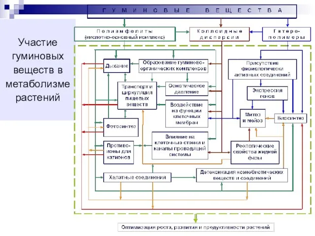 Участие гуминовых веществ в метаболизме растений