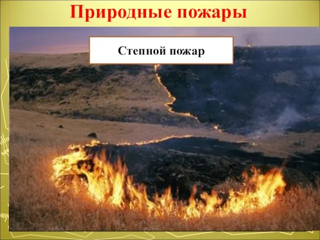Природные пожары неконтролируемое горение растительности Лесной пожар Торфяной пожар Степной пожар