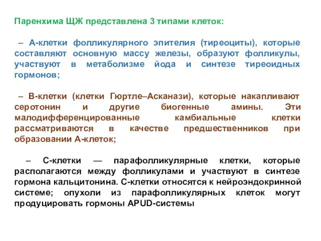 Паренхима ЩЖ представлена 3 типами клеток: – А-клетки фолликулярного эпителия (тиреоциты),