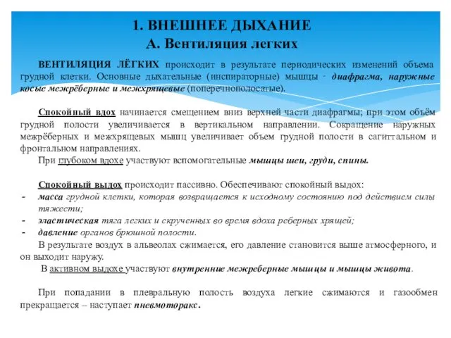 1. ВНЕШНЕЕ ДЫХАНИЕ А. Вентиляция легких ВЕНТИЛЯЦИЯ ЛЁГКИХ происходит в результате