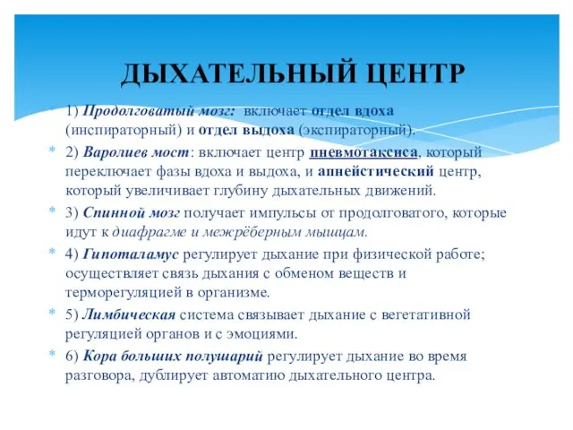 1) Продолговатый мозг: включает отдел вдоха (инспираторный) и отдел выдоха (экспираторный).