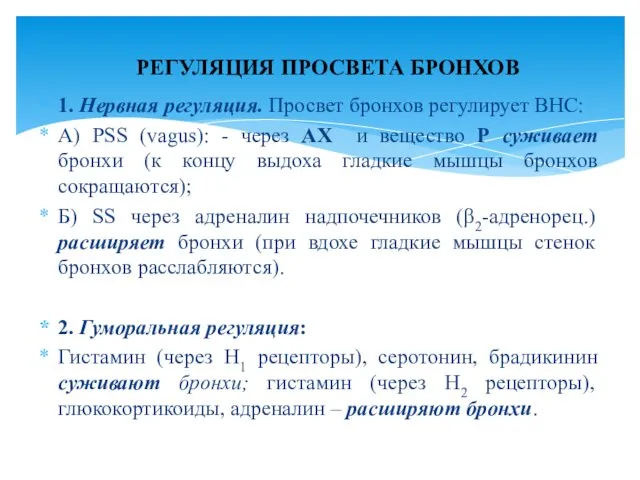 1. Нервная регуляция. Просвет бронхов регулирует ВНС: А) PSS (vagus): -