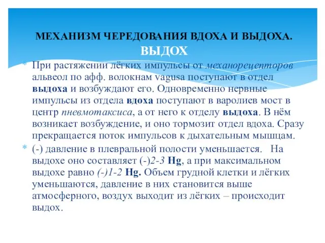 При растяжении лёгких импульсы от механорецепторов альвеол по афф. волокнам vagusа