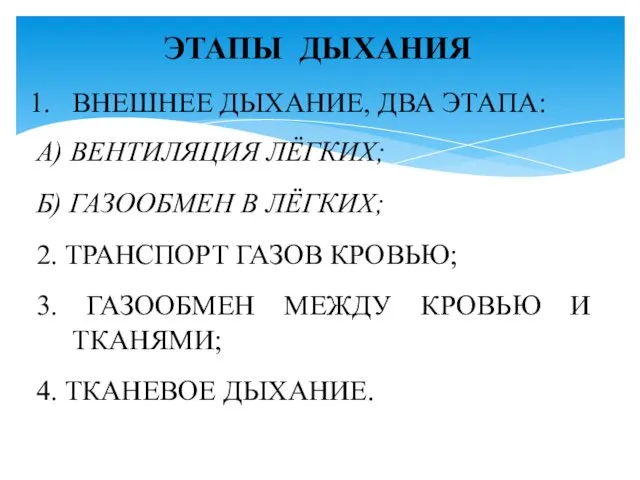 ЭТАПЫ ДЫХАНИЯ ВНЕШНЕЕ ДЫХАНИЕ, ДВА ЭТАПА: А) ВЕНТИЛЯЦИЯ ЛЁГКИХ; Б) ГАЗООБМЕН