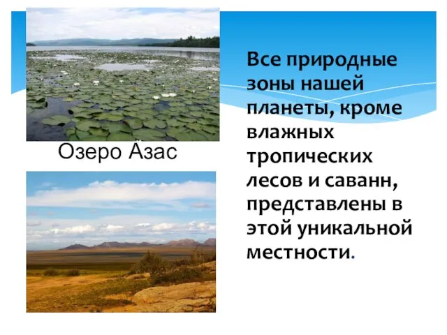 Все природные зоны нашей планеты, кроме влажных тропических лесов и саванн,