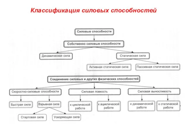 Классификация силовых способностей