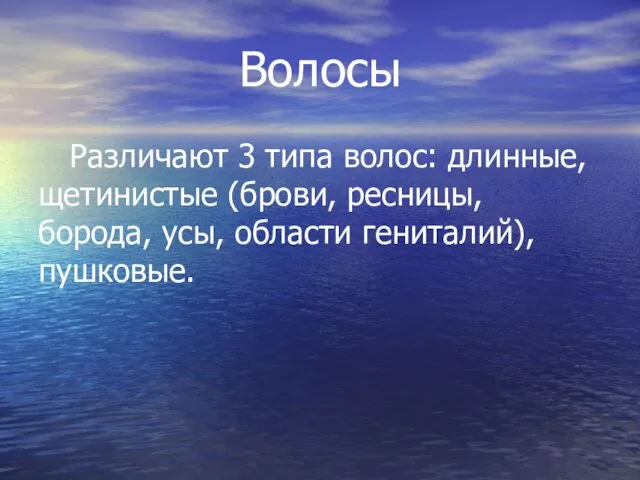 Волосы Различают 3 типа волос: длинные, щетинистые (брови, ресницы, борода, усы, области гениталий), пушковые.