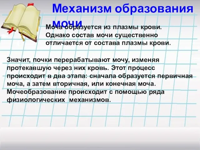 Механизм образования мочи Моча образуется из плазмы крови. Однако состав мочи