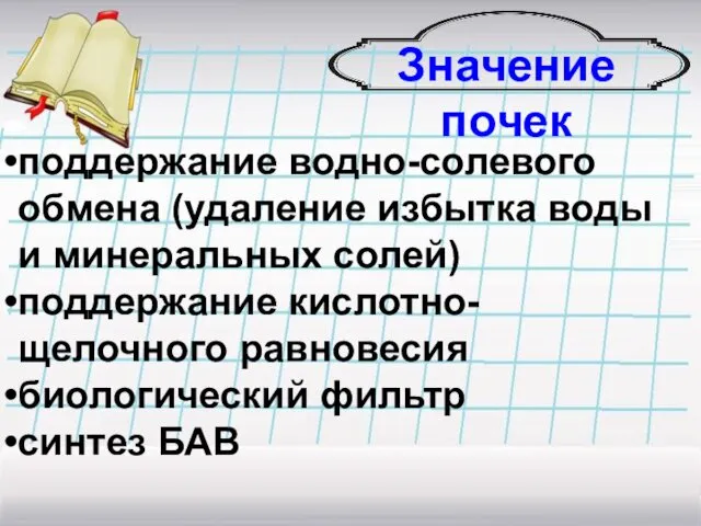 Значение почек поддержание водно-солевого обмена (удаление избытка воды и минеральных солей)