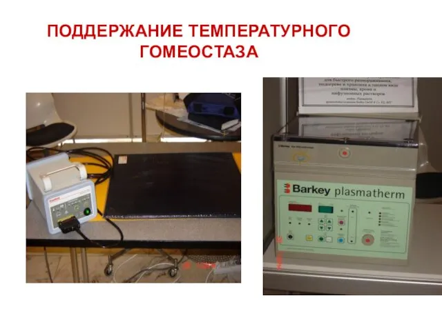 ПОДДЕРЖАНИЕ ТЕМПЕРАТУРНОГО ГОМЕОСТАЗА