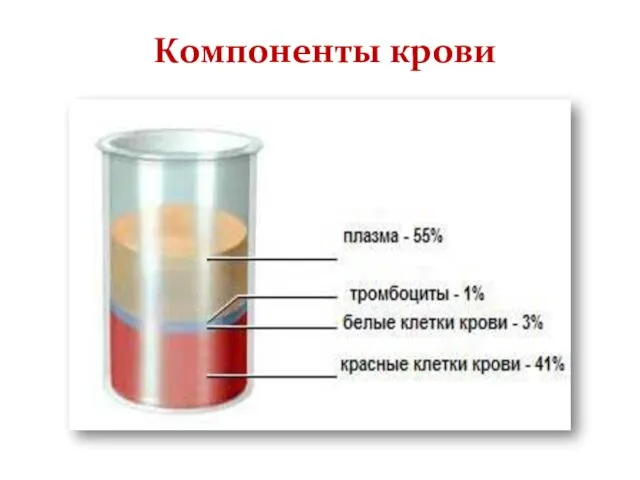 Компоненты крови