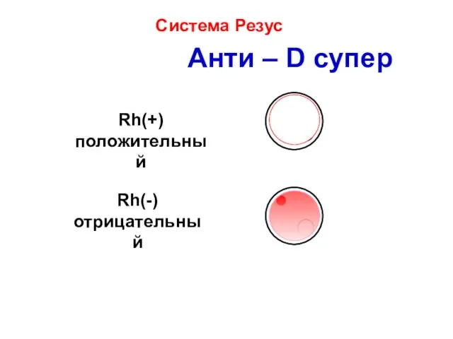 Анти – D супер Rh(+) положительный Rh(-) отрицательный Система Резус