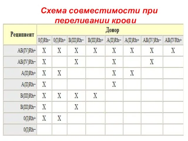 Схема совместимости при переливании крови