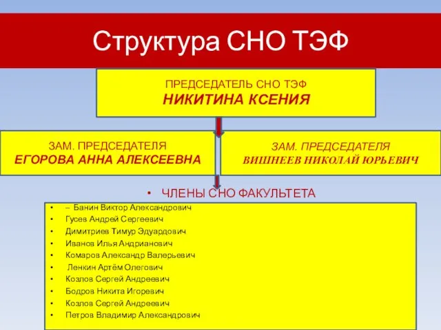 Структура СНО ТЭФ ПРЕДСЕДАТЕЛЬ СНО ТЭФ НИКИТИНА КСЕНИЯ ЗАМ. ПРЕДСЕДАТЕЛЯ ЕГОРОВА