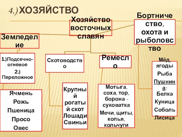 4.) ХОЗЯЙСТВО