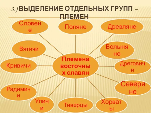 3.) ВЫДЕЛЕНИЕ ОТДЕЛЬНЫХ ГРУПП – ПЛЕМЕН