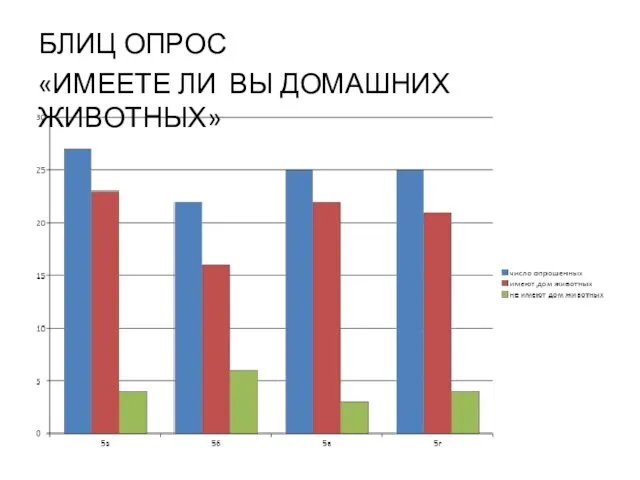 БЛИЦ ОПРОС «ИМЕЕТЕ ЛИ ВЫ ДОМАШНИХ ЖИВОТНЫХ»