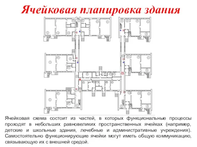 Ячейковая схема состоит из частей, в которых функциональные процессы проходят в