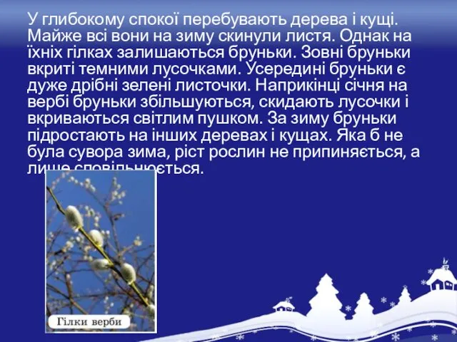 У глибокому спокої перебувають дерева і кущі. Майже всі вони на