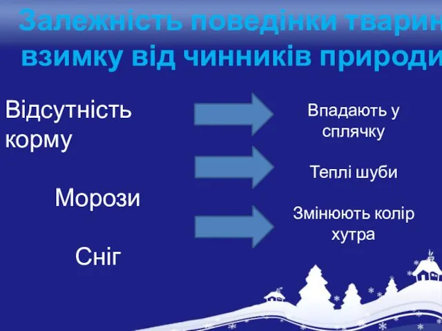 Залежність поведінки тварин взимку від чинників природи Відсутність корму Морози Сніг