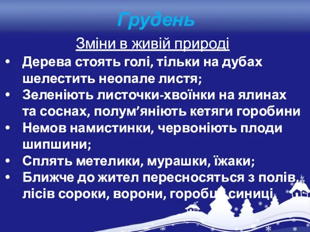 Грудень Зміни в живій природі Дерева стоять голі, тільки на дубах