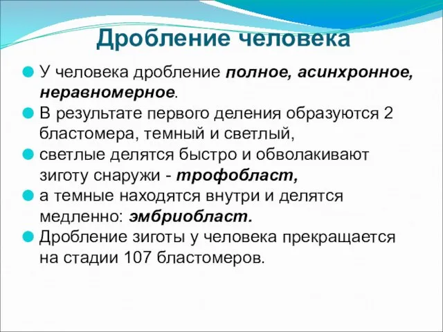 Дробление человека У человека дробление полное, асинхронное, неравномерное. В результате первого