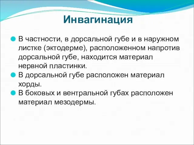 Инвагинация В частности, в дорсальной губе и в наружном листке (эктодерме),