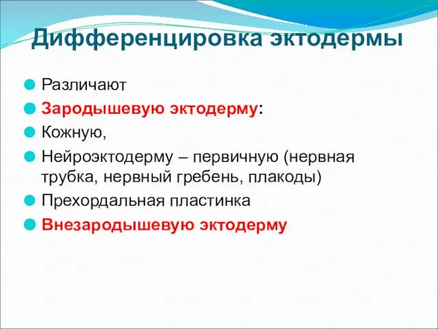 Дифференцировка эктодермы Различают Зародышевую эктодерму: Кожную, Нейроэктодерму – первичную (нервная трубка,