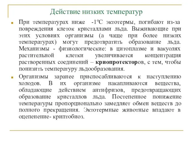 Действие низких температур При температурах ниже -1оС эктотермы, погибают из-за повреждения