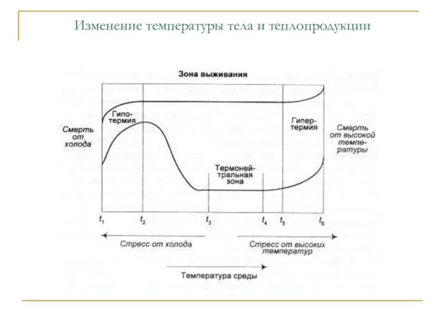 Изменение температуры тела и теплопродукции