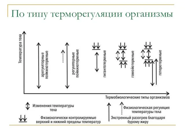 По типу терморегуляции организмы