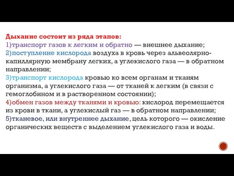 Дыхание состоит из ряда этапов: 1)транспорт газов к легким и обратно