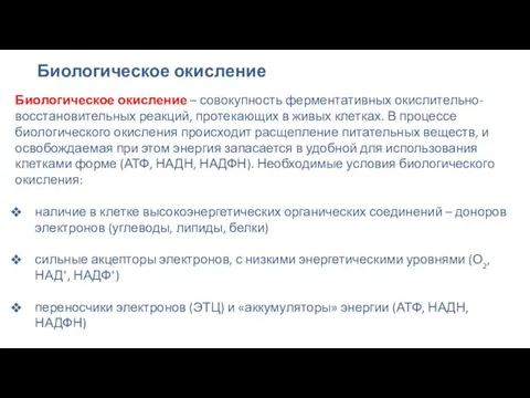 Биологическое окисление Биологическое окисление – совокупность ферментативных окислительно-восстановительных реакций, протекающих в