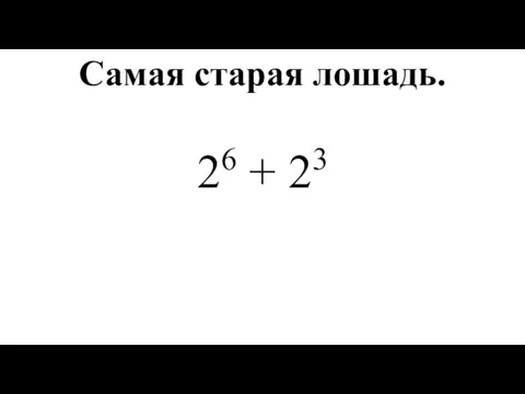 Самая старая лошадь. 26 + 23