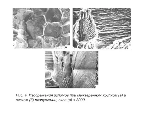 Рис. 4. Изображения изломов при межзеренном хрупком (а) и вязком (б) разрушении; скол (в) х 3000.