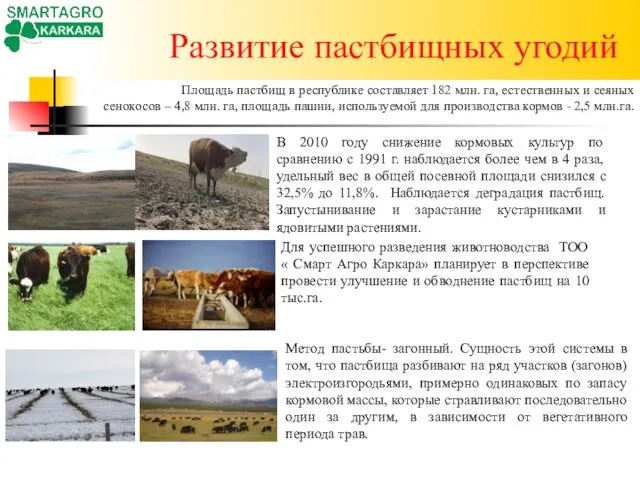 Развитие пастбищных угодий Для успешного разведения животноводства ТОО « Смарт Агро
