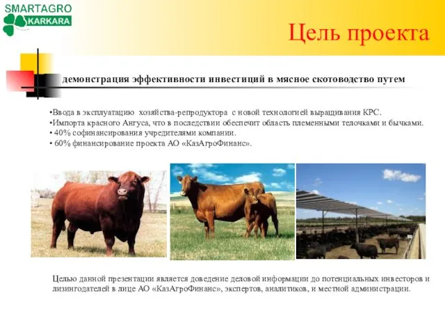 Цель проекта демонстрация эффективности инвестиций в мясное скотоводство путем Ввода в