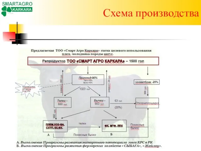 Схема производства