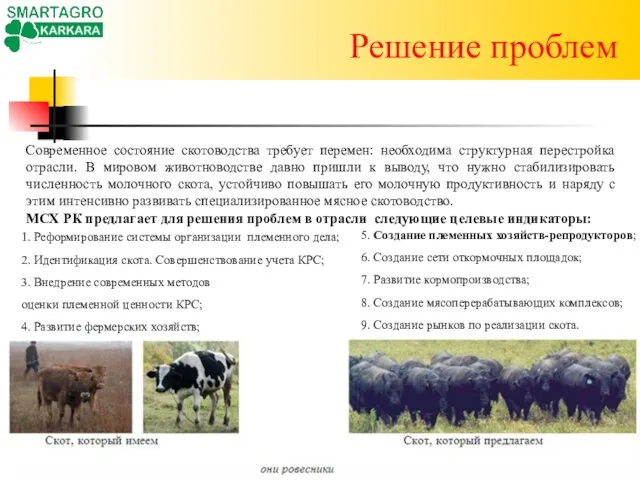Решение проблем 1. Реформирование системы организации племенного дела; 2. Идентификация скота.